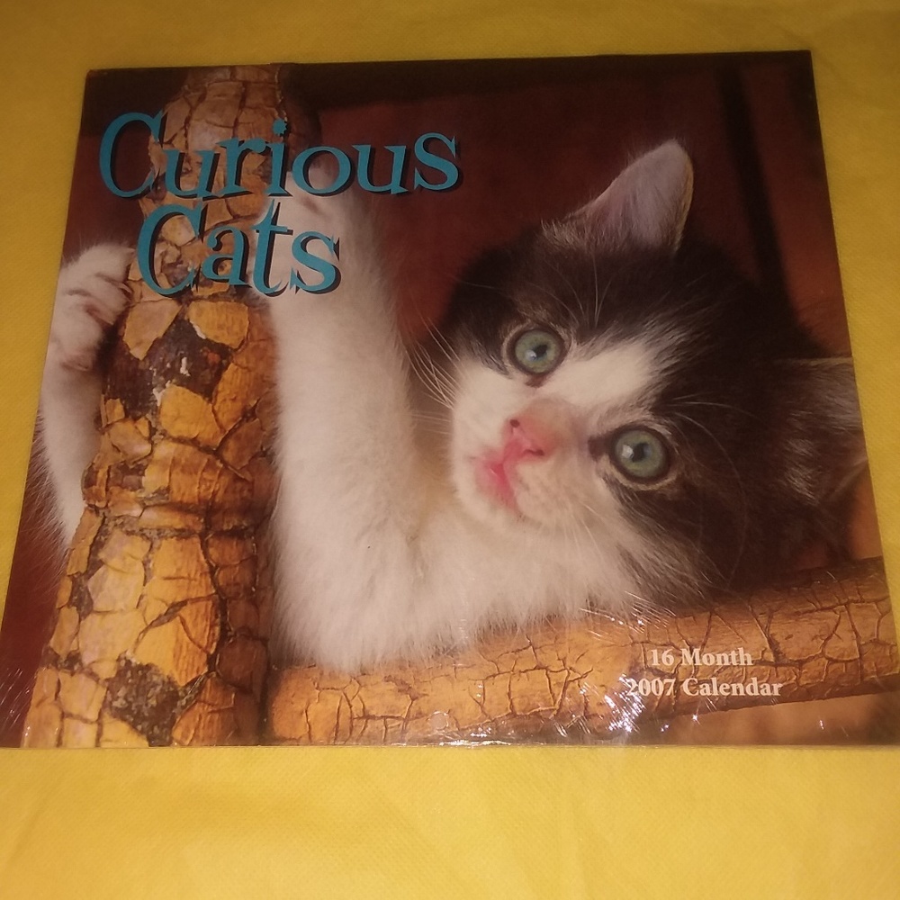 CURIOUS CATS 16 MONTH 2007 CALENDAR